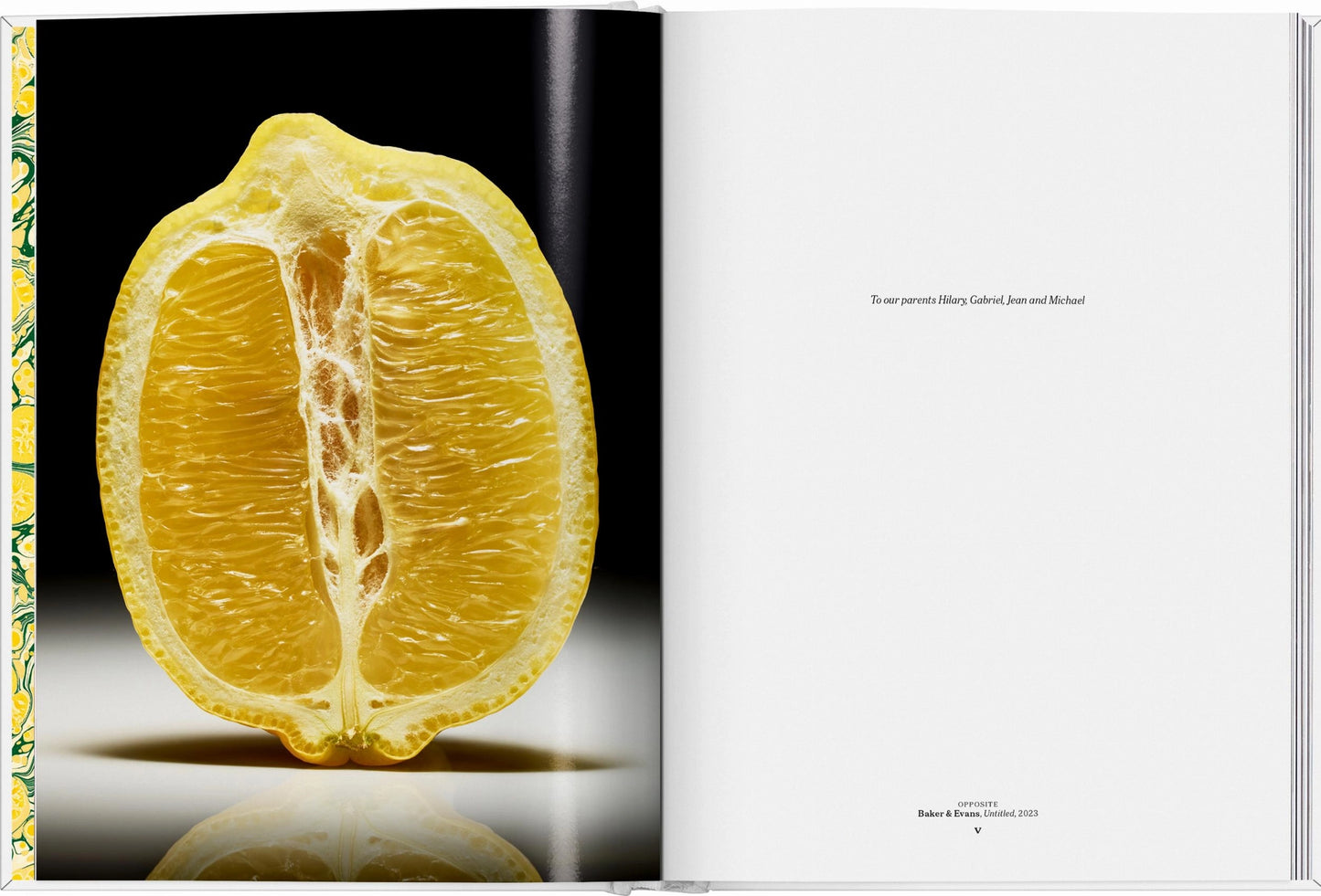 The Gourmand's Lemon - A Collection of Stories and Recipes