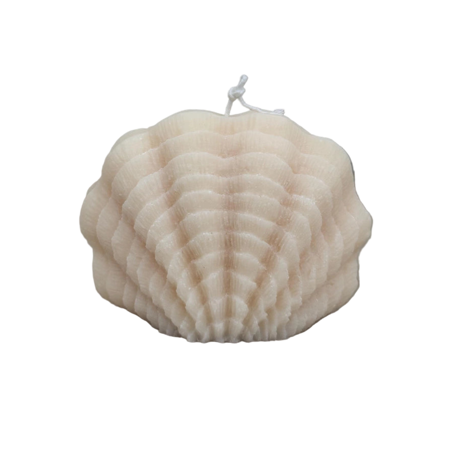 Sea Shell Sculptural Candle