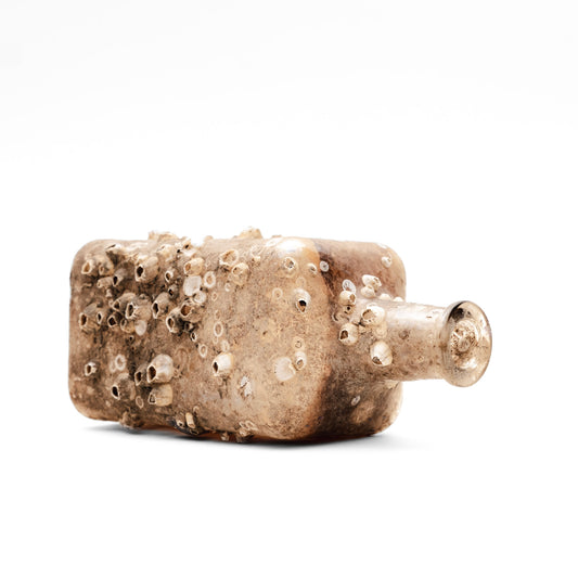 Barnacle Bottle III