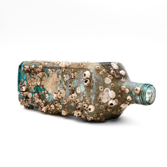 Barnacle Bottle