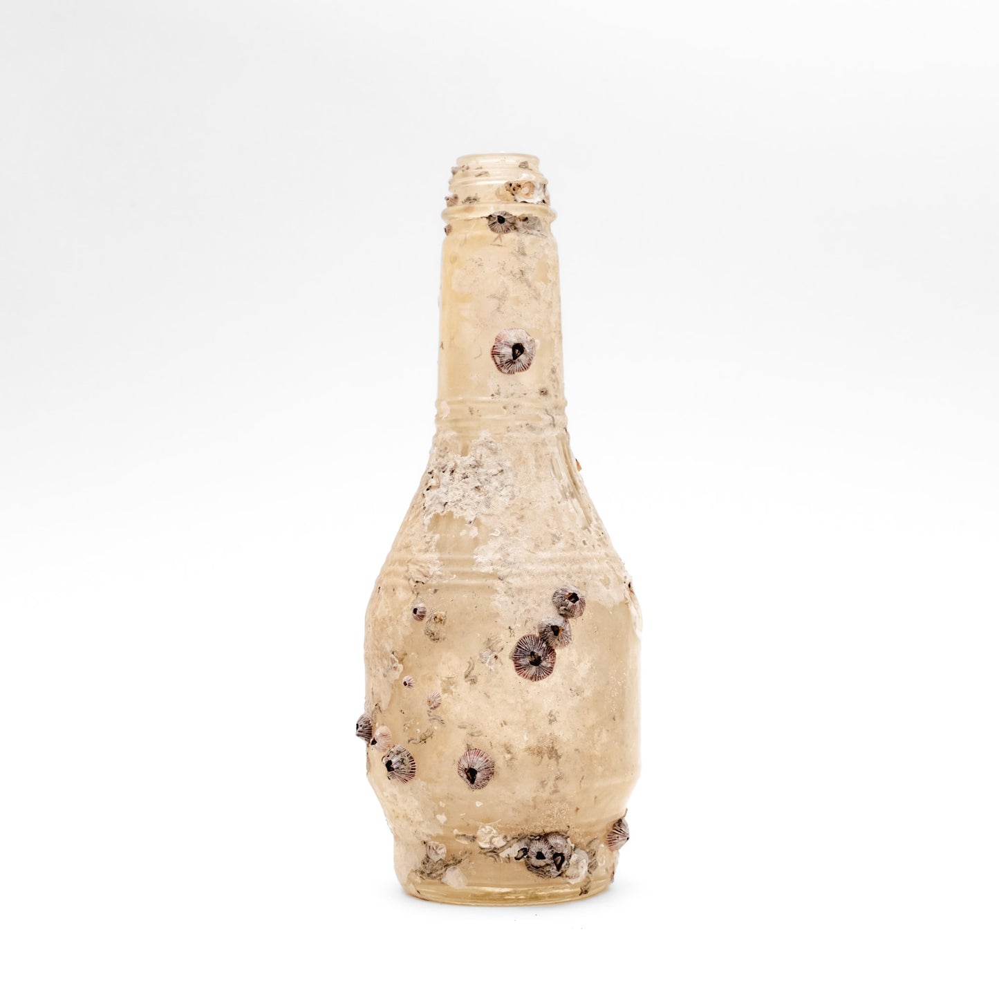 Barnacle Bottle II