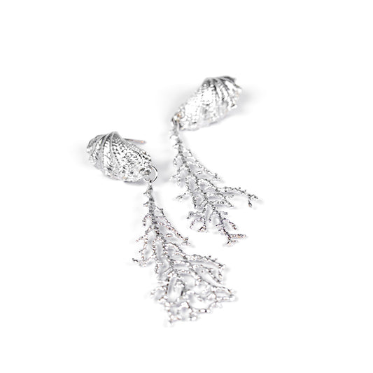 Desara Coral Shell Earrings