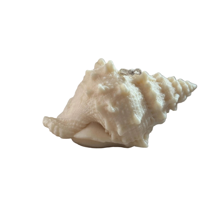 Shell Sculptural Candle