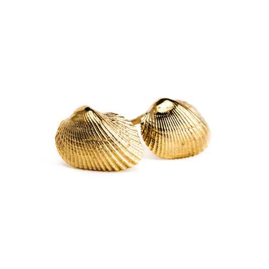 Eleanor Shell Studs: 10k Gold