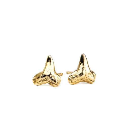 Shark Teeth Studs: 10k Gold