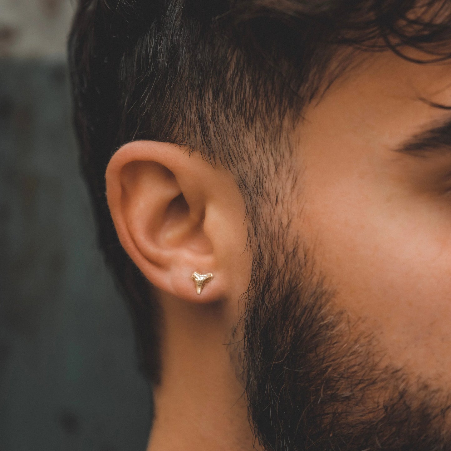 Shark Teeth Studs: Gold PVD