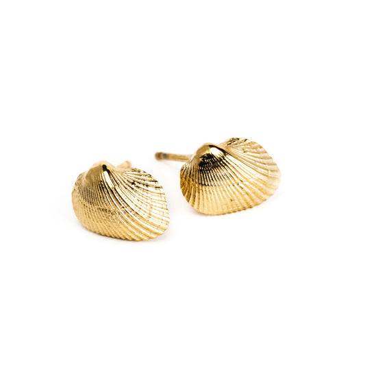 Eleanor Shell Studs: Gold PVD