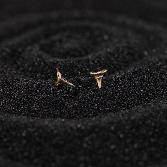 XS Shark Teeth Studs: Gold PVD