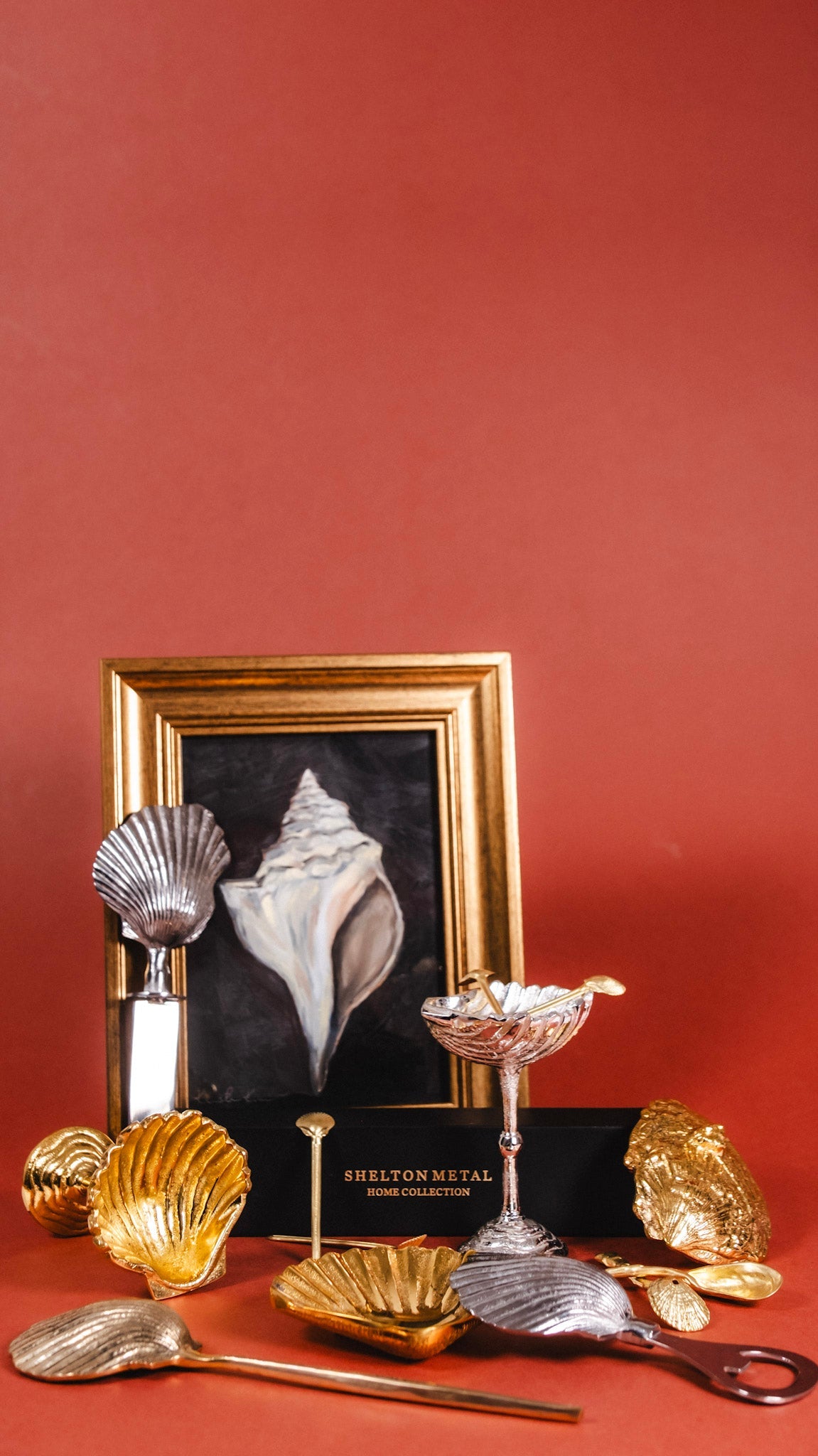 Gift Guide: The Shell Collector