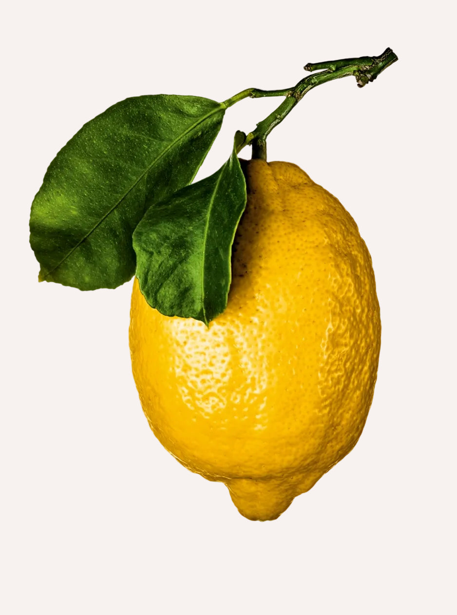 The Gourmand's Lemon - A Collection of Stories and Recipes