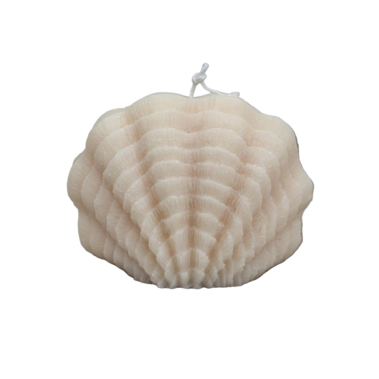 Sea Shell Sculptural Candle