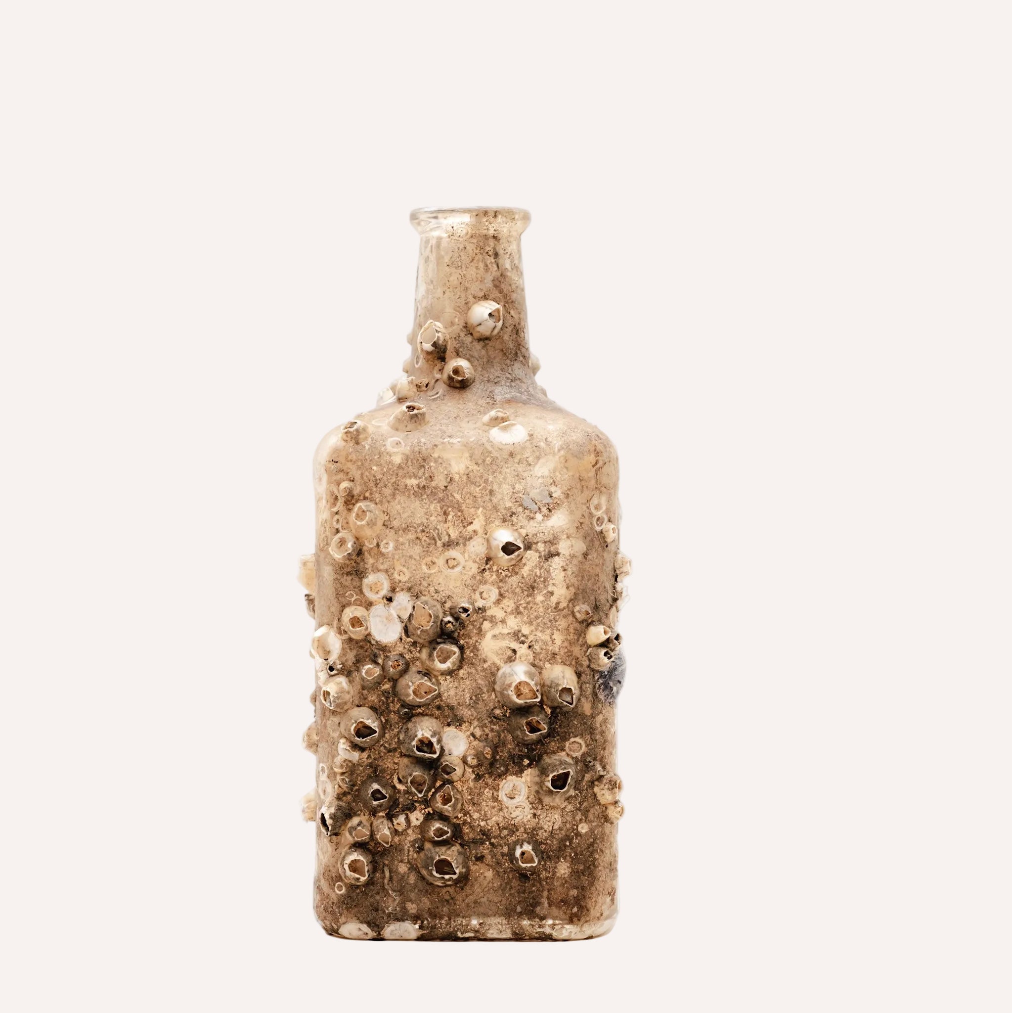 Barnacle Bottle III