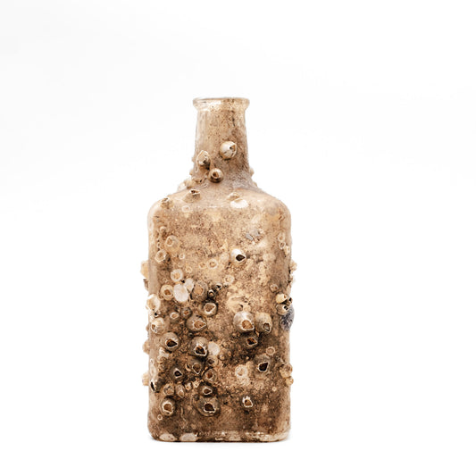 Barnacle Bottle III
