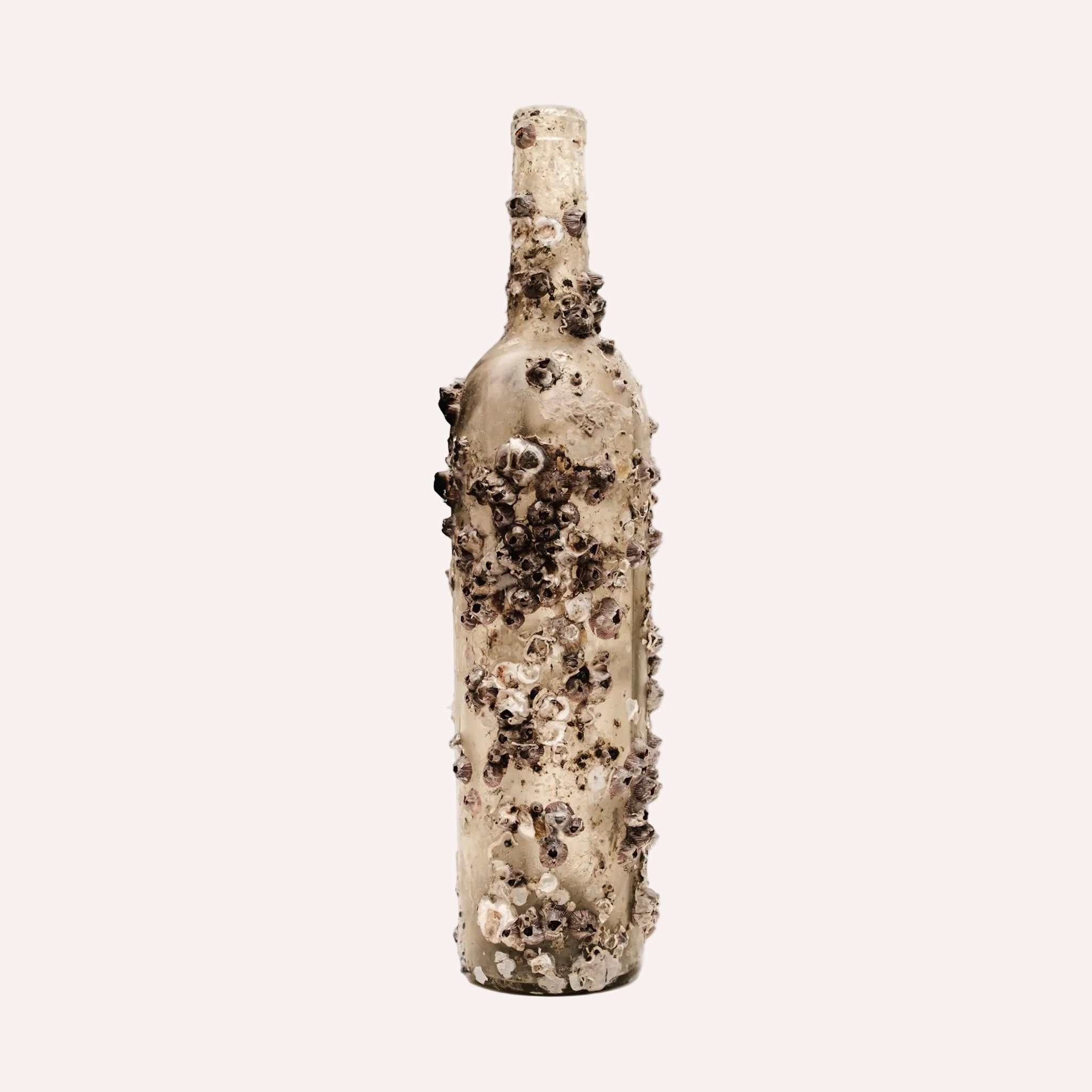 Barnacle Bottle V