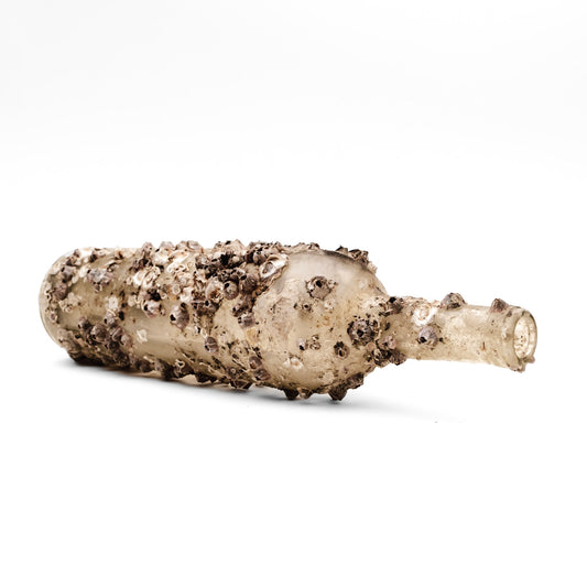 Barnacle Bottle V