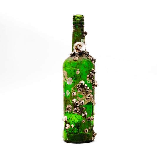 Barnacle Bottle IV
