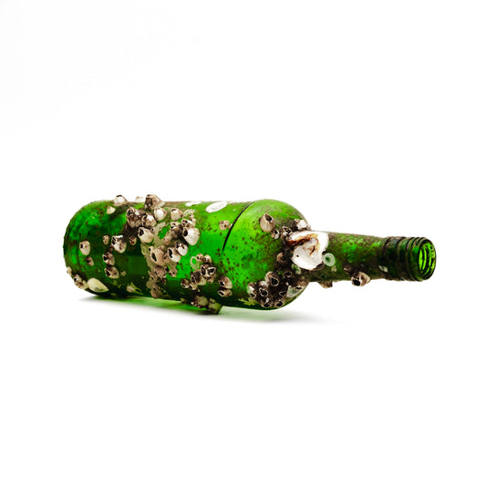 Barnacle Bottle IV