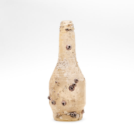 Barnacle Bottle II