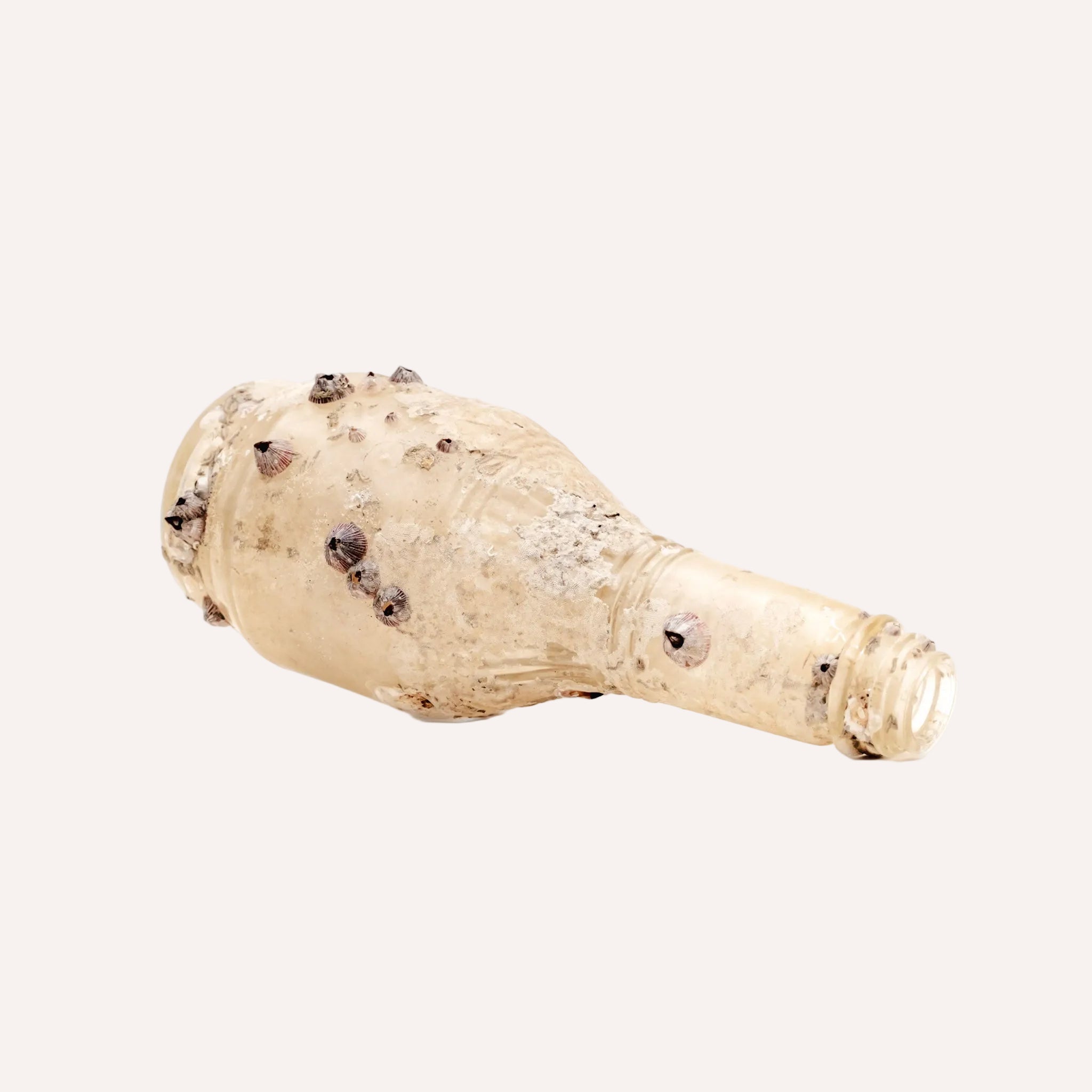 Barnacle Bottle II