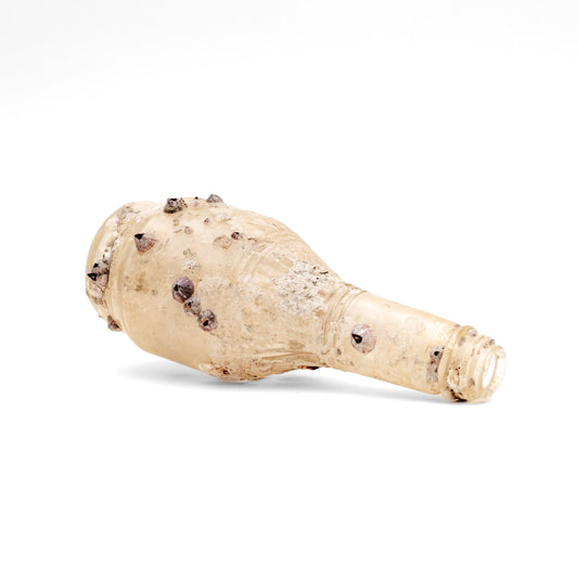 Barnacle Bottle II