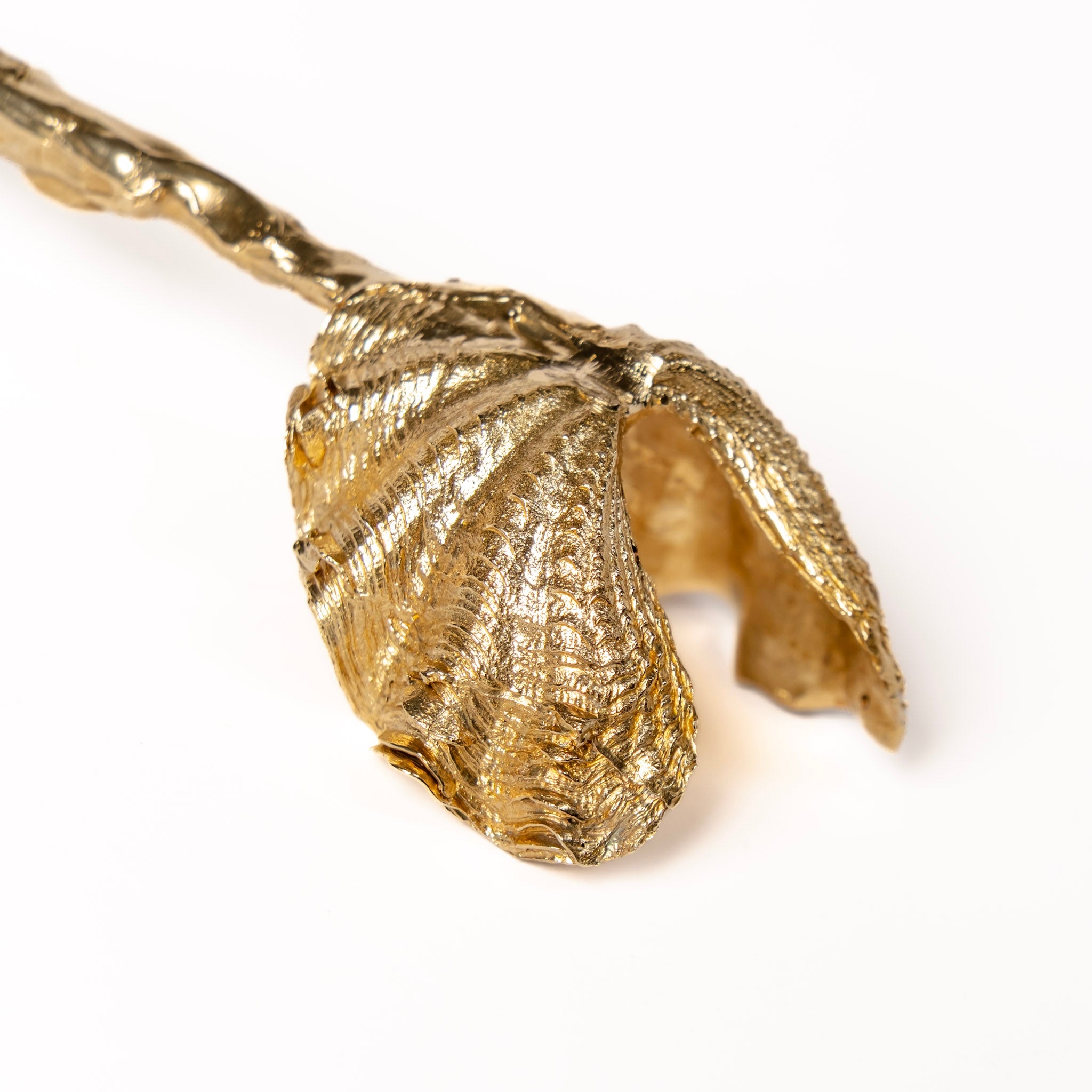 NEW: Sea Relic Spoon Set