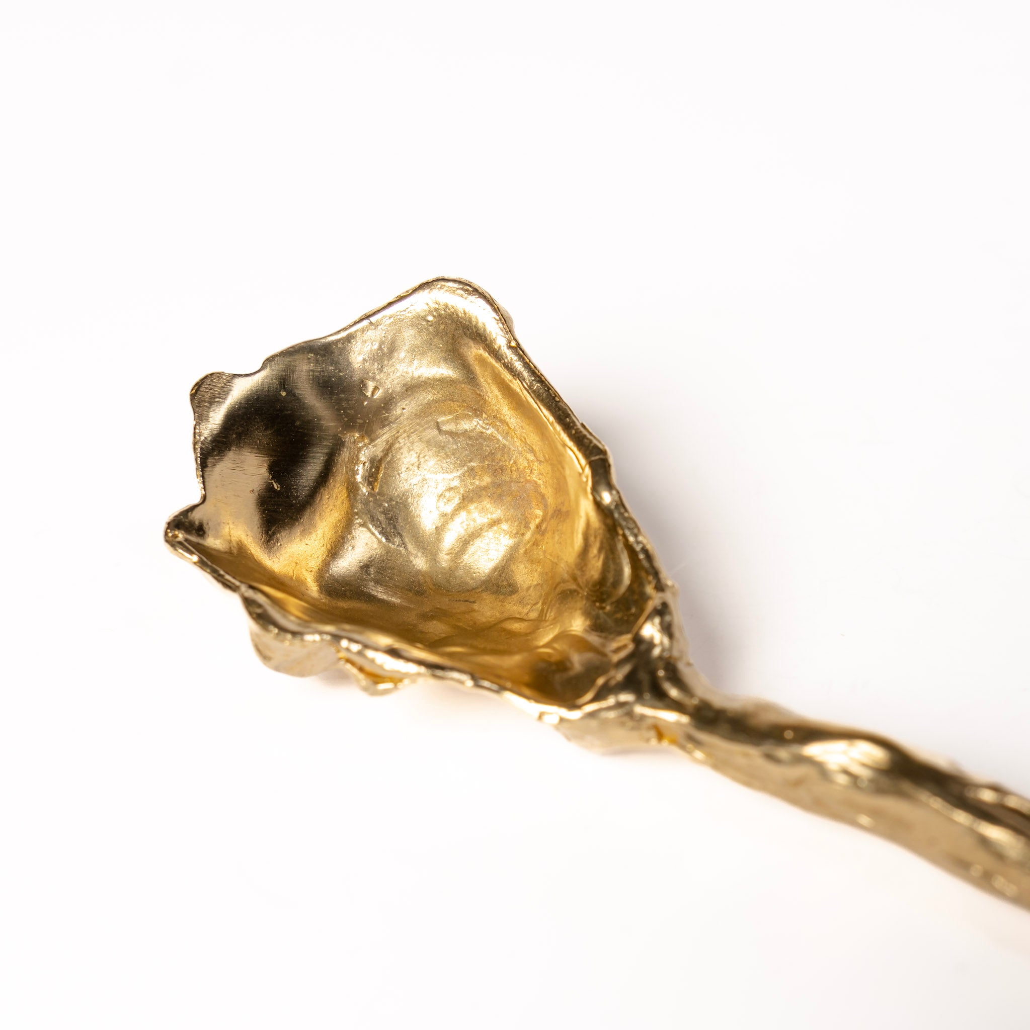 NEW: Oyster Spoon Set