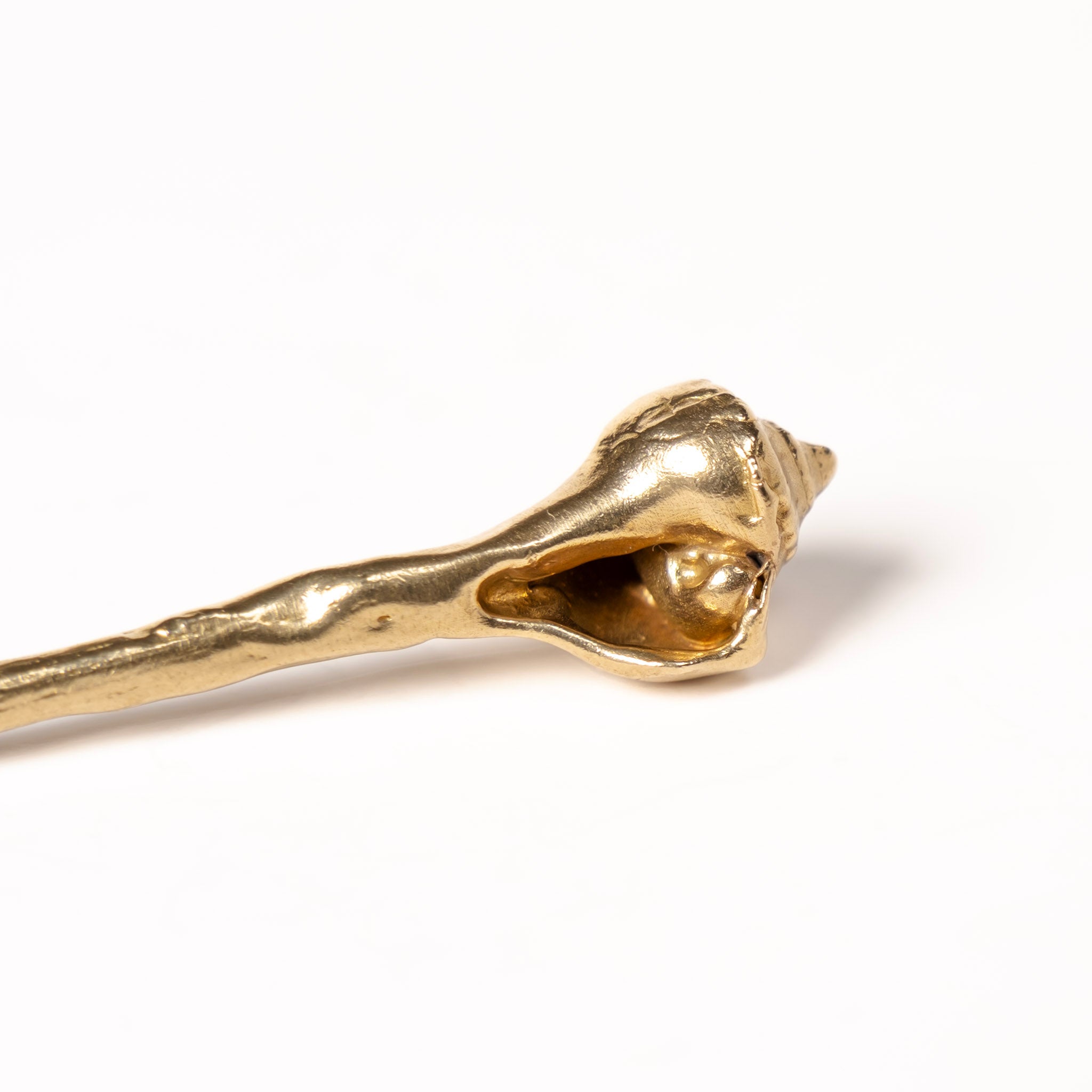 NEW: Whelk Shell Cocktail Pick Set