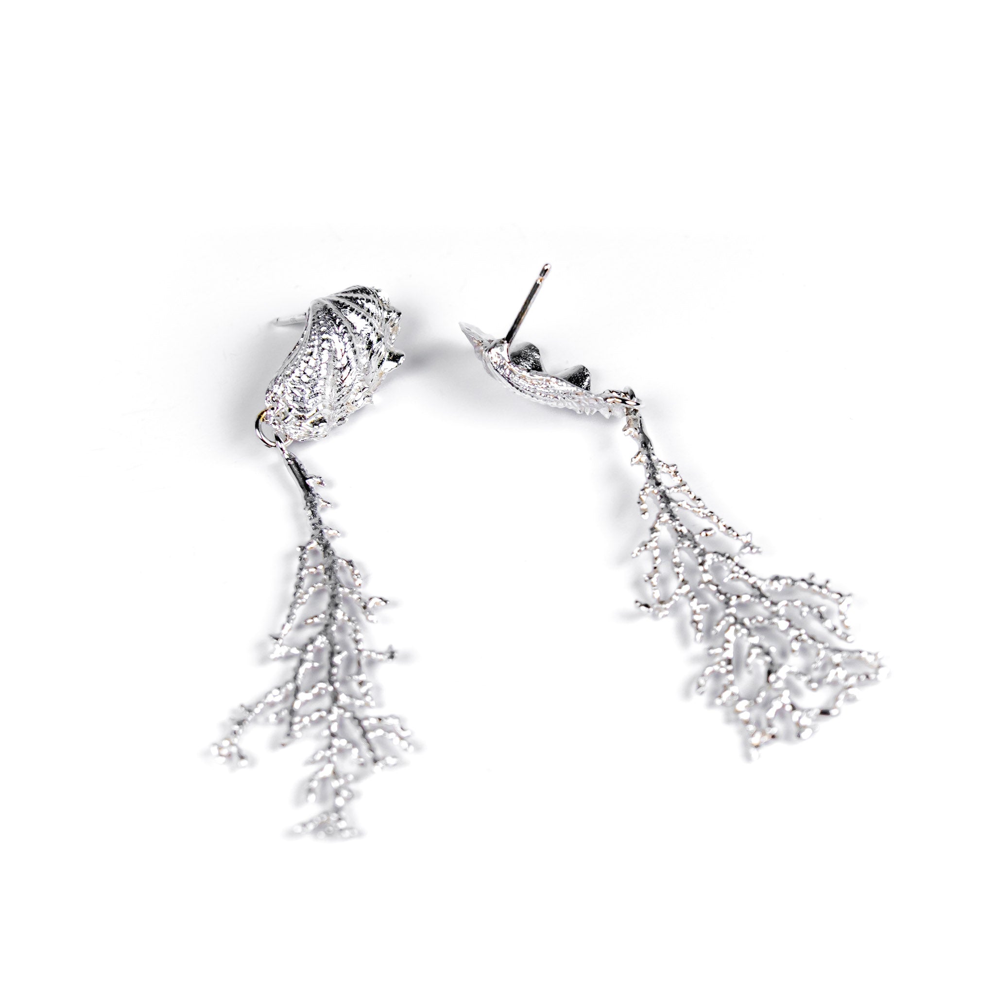 Desara Coral Shell Earrings
