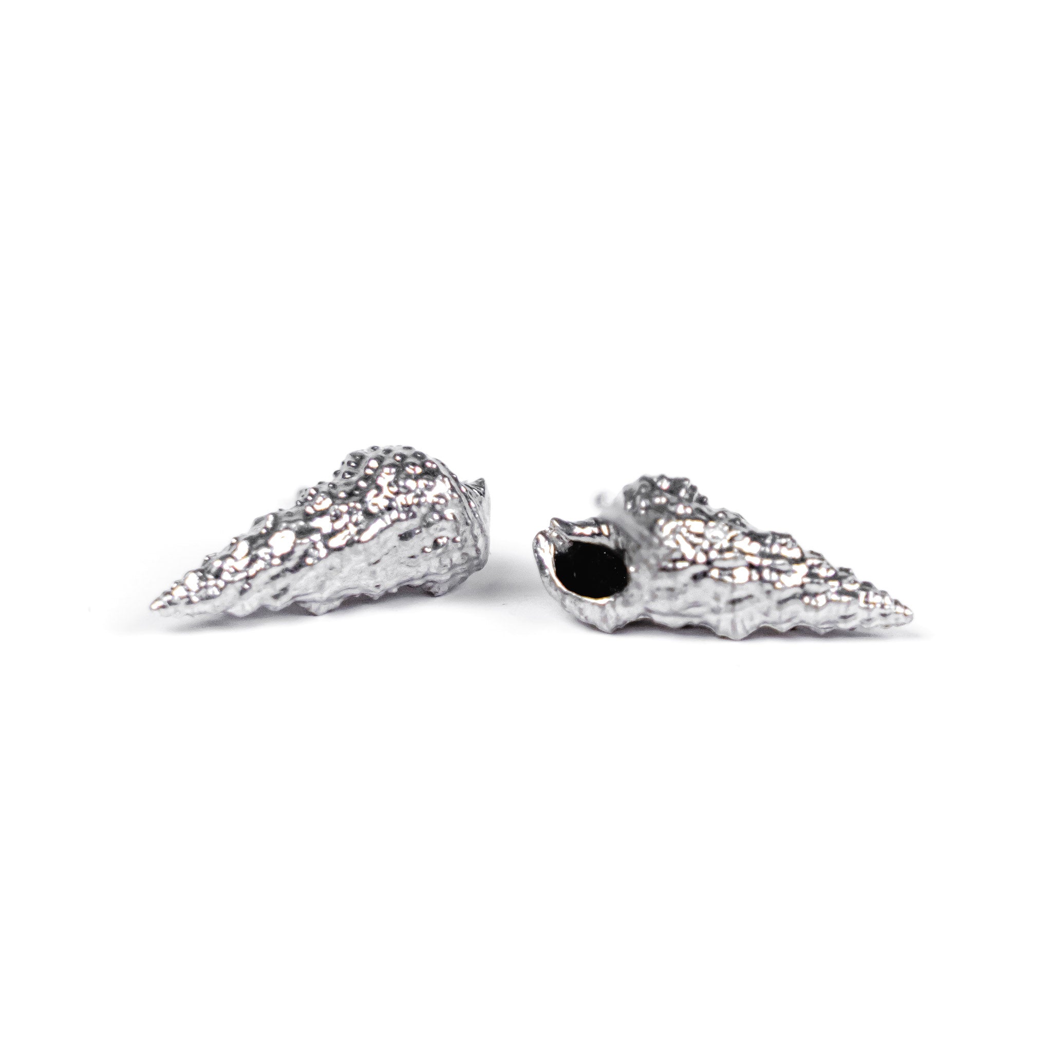 Cerith Shell Studs
