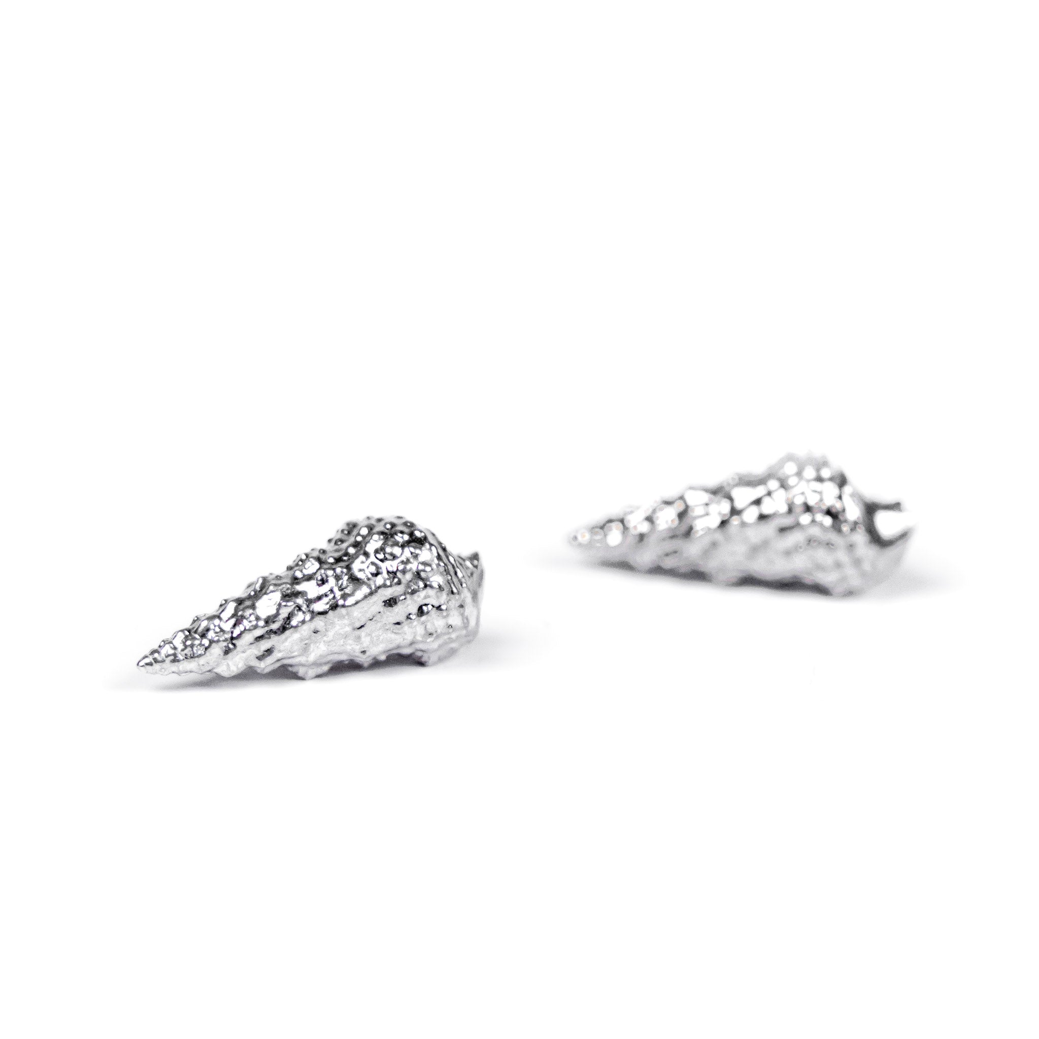 Cerith Shell Studs