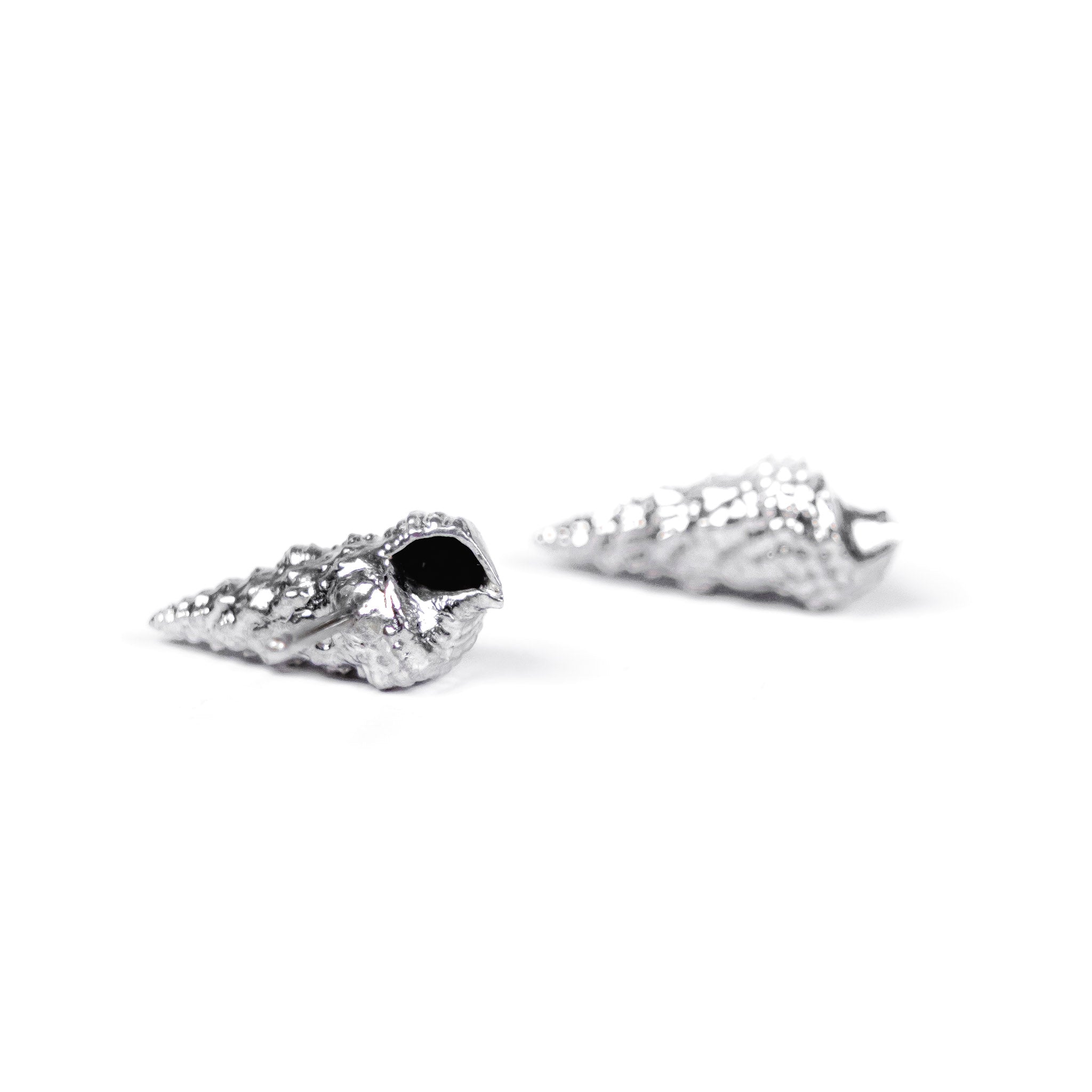 Cerith Shell Studs