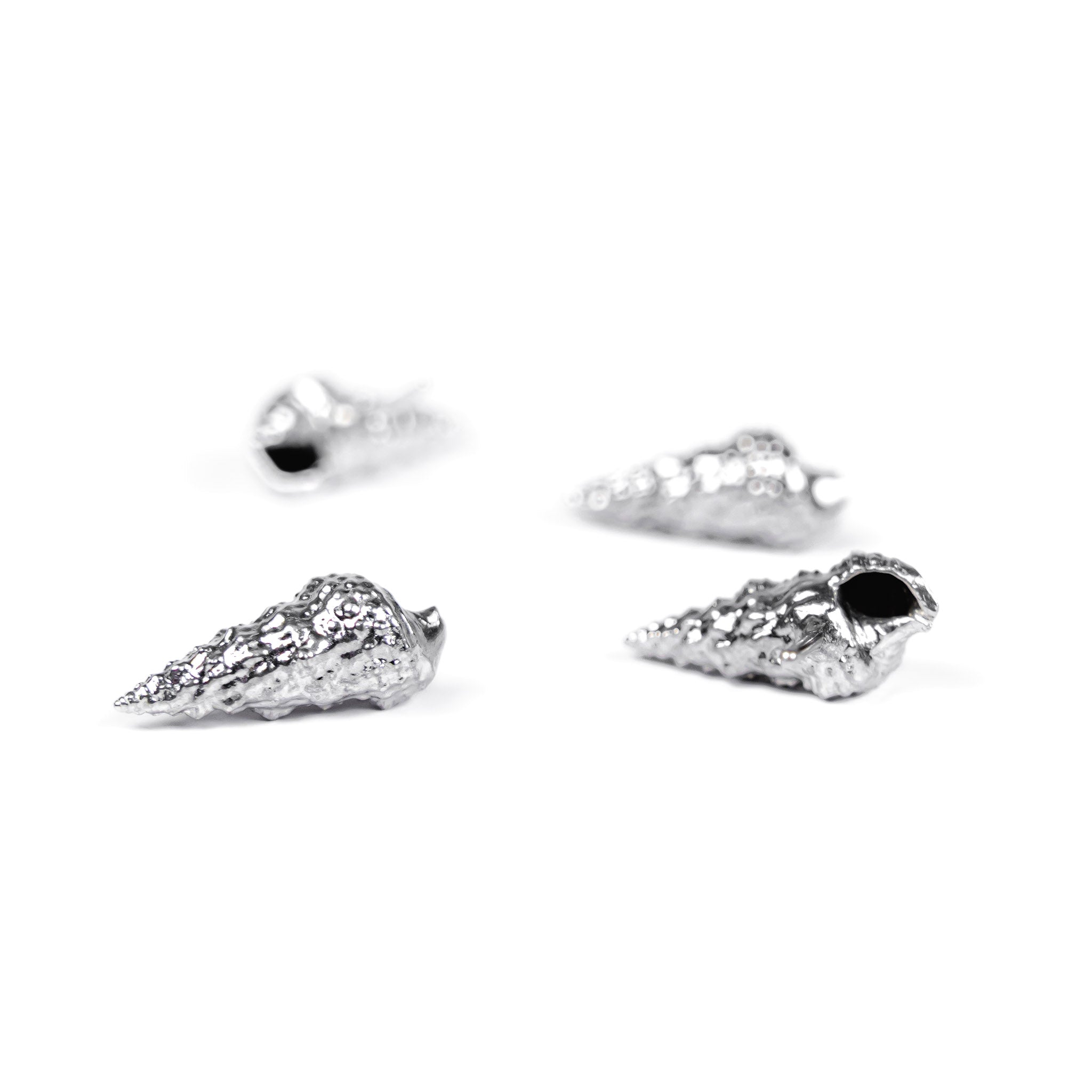 Cerith Shell Studs
