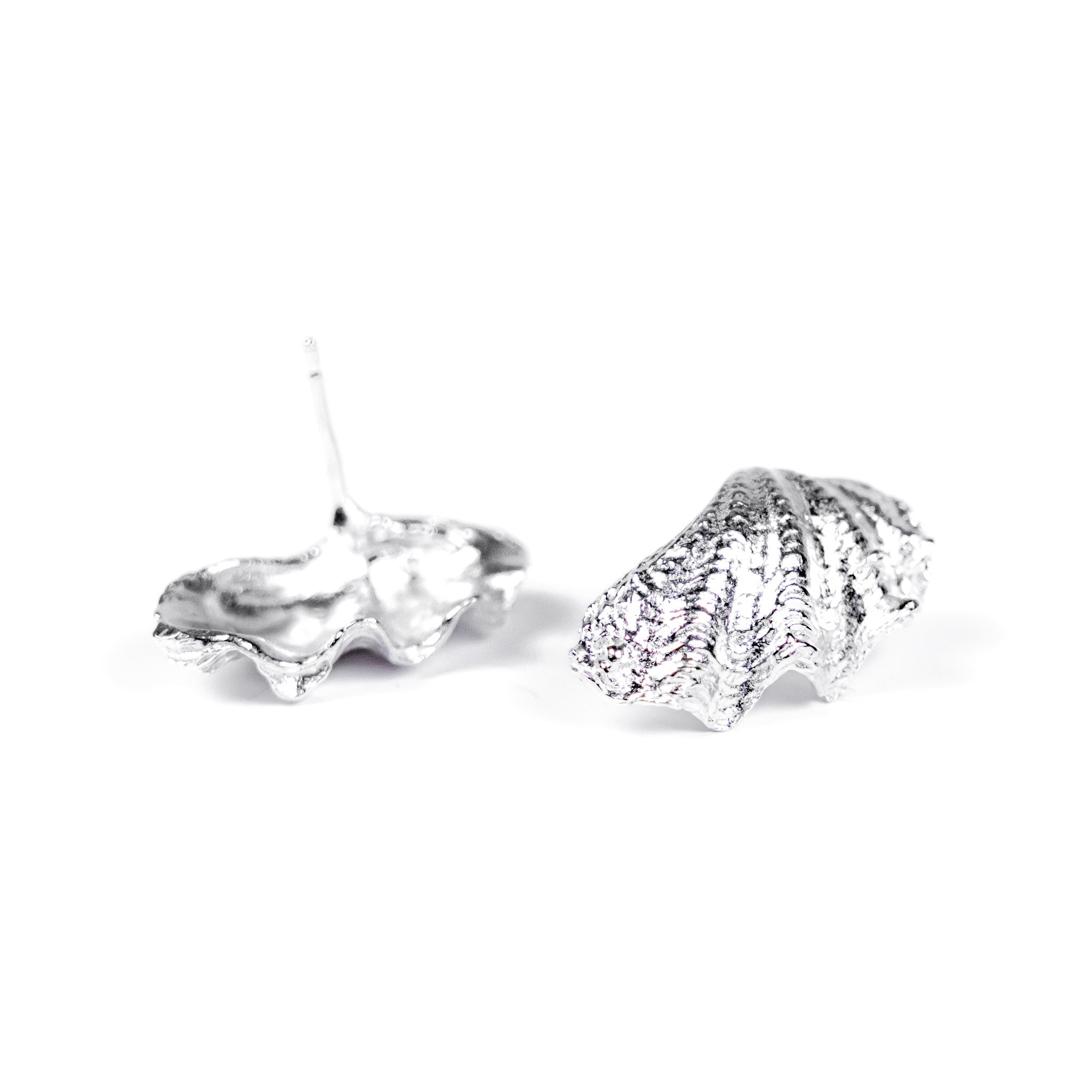 Derasa Shell Studs: Sterling Silver