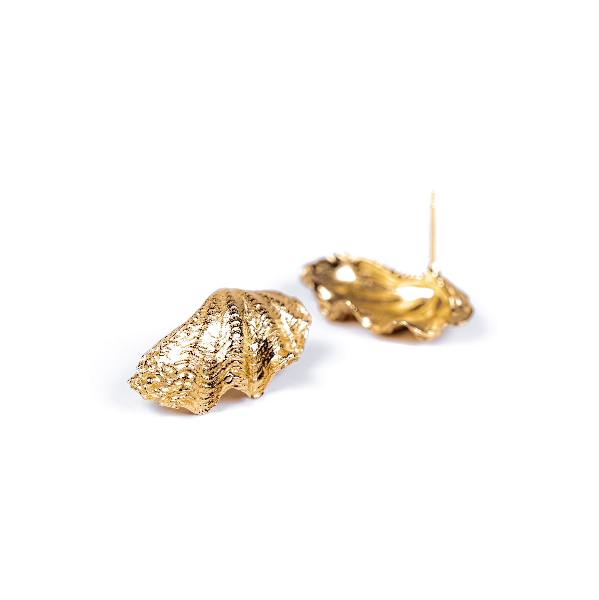 Derasa Shell Studs: 10k Gold