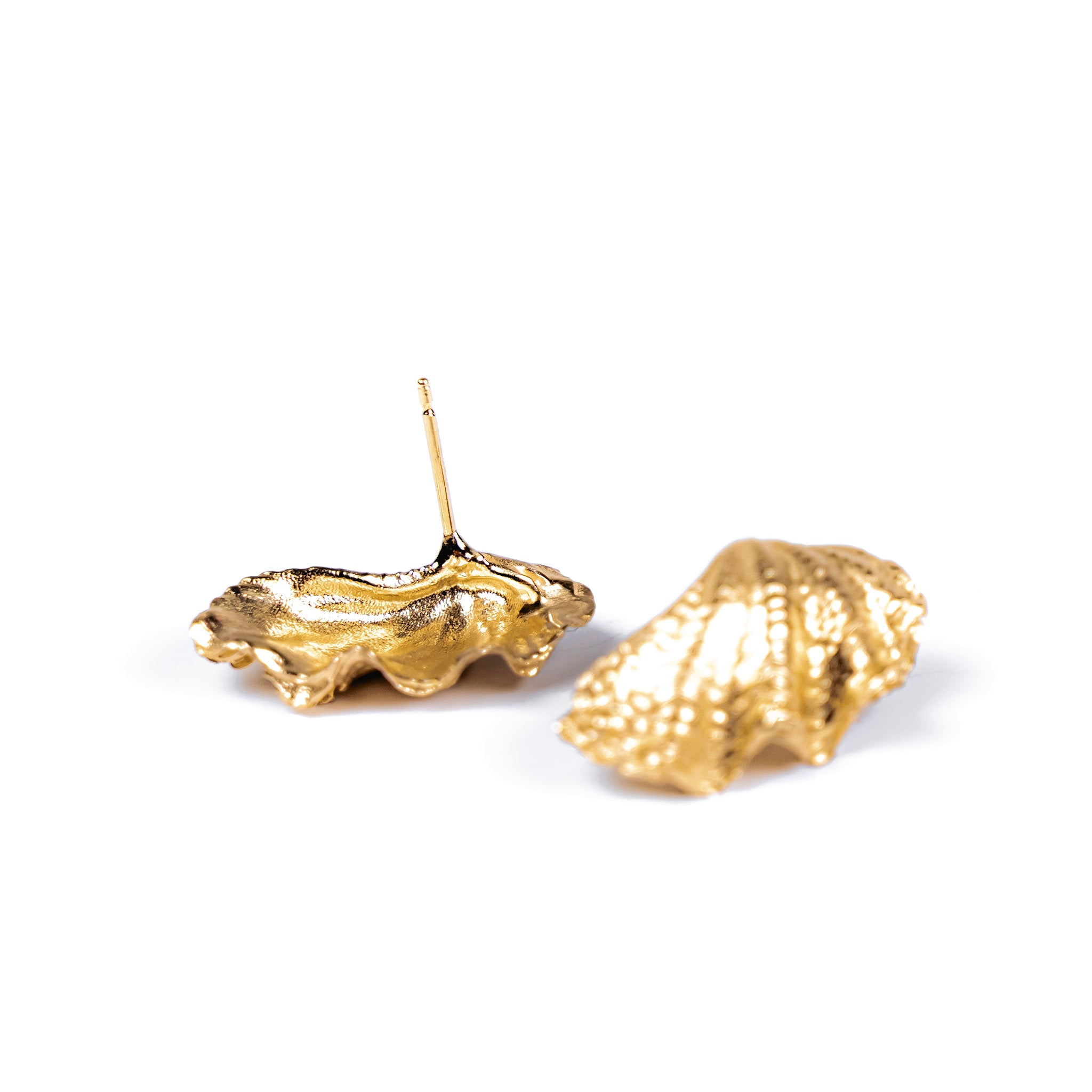 Derasa Shell Studs: 10k Gold