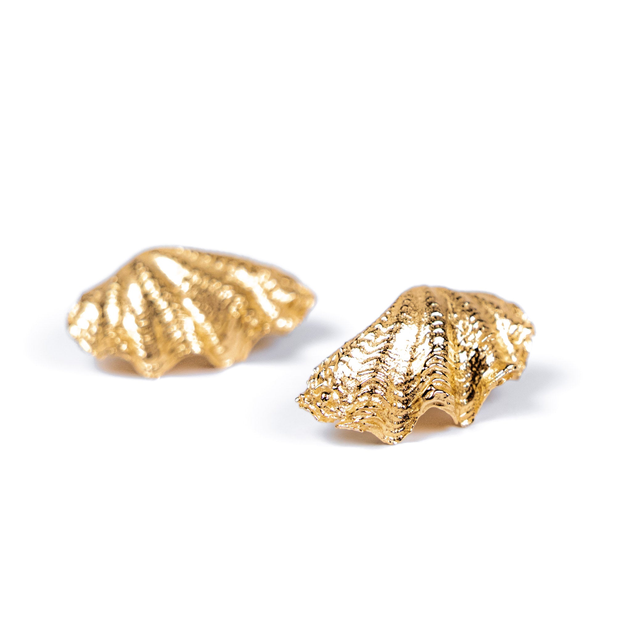 Derasa Shell Studs: 10k Gold