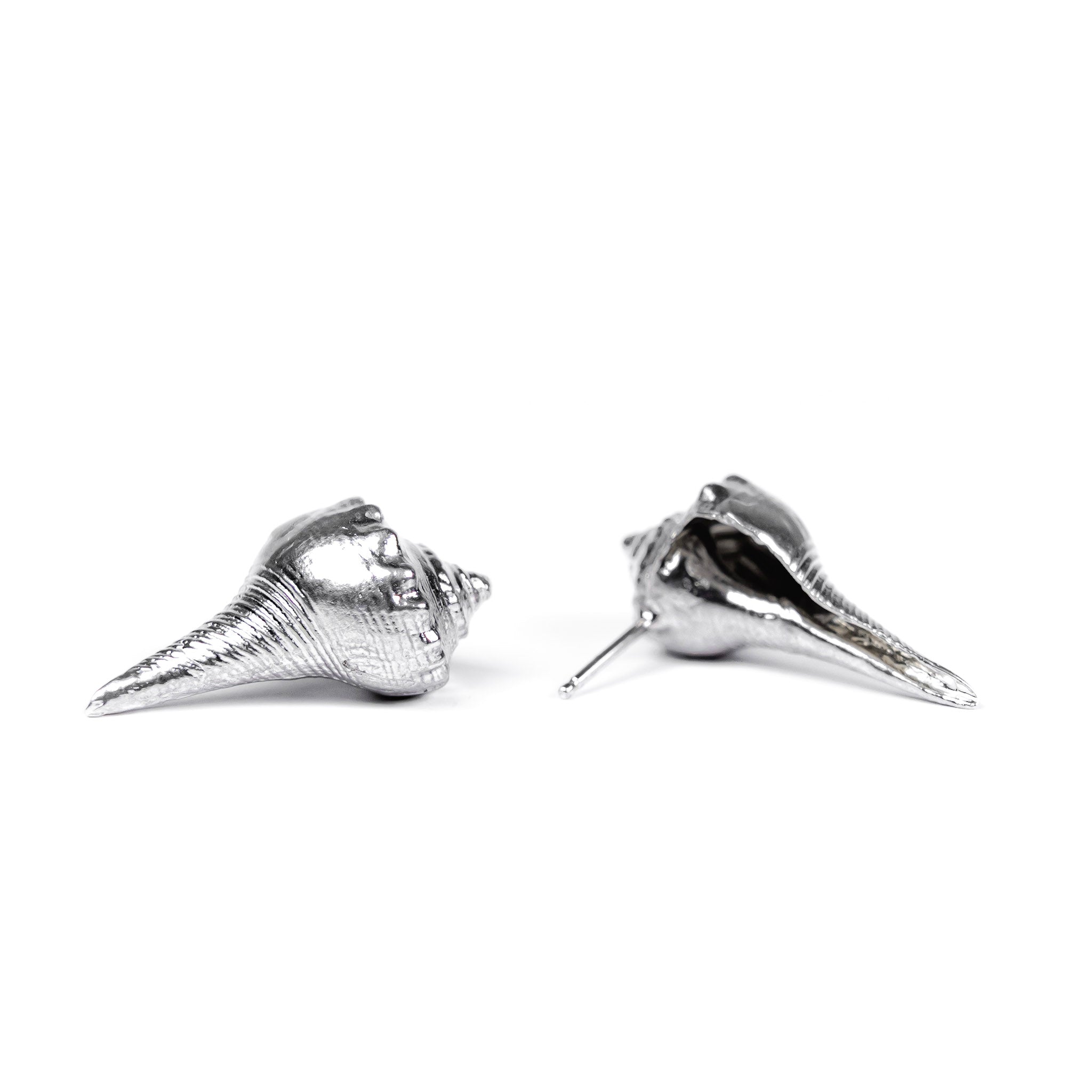 Whelk Shell Studs