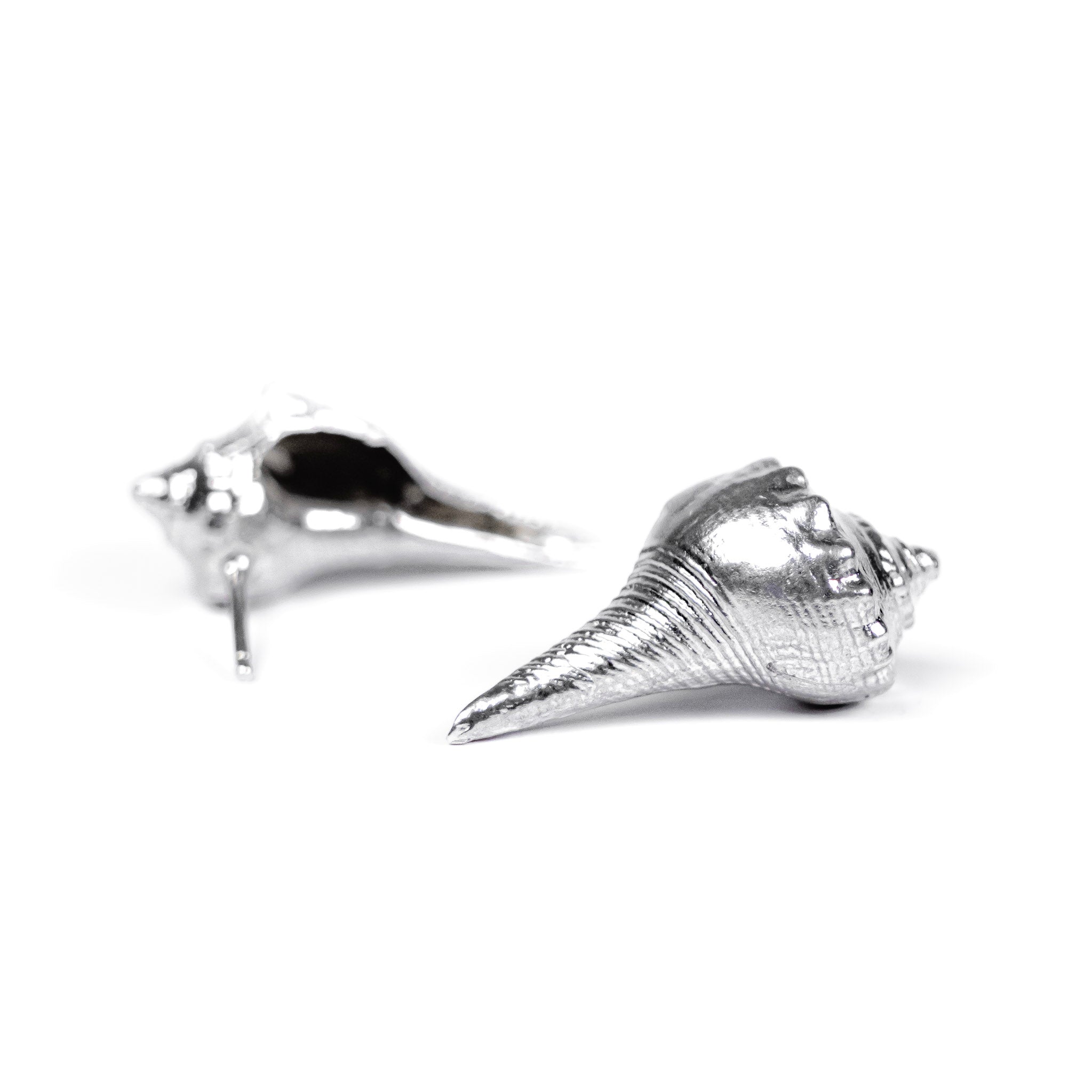 Whelk Shell Studs