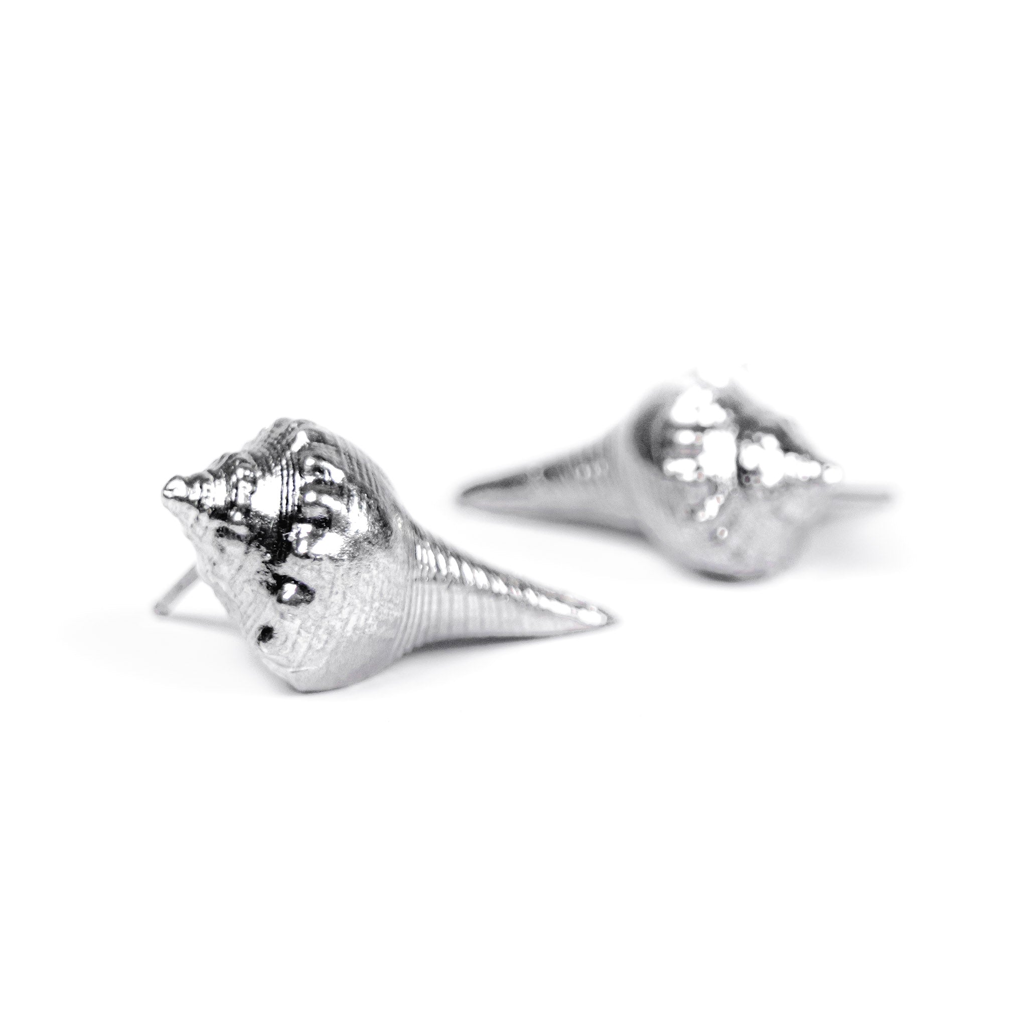 Whelk Shell Studs