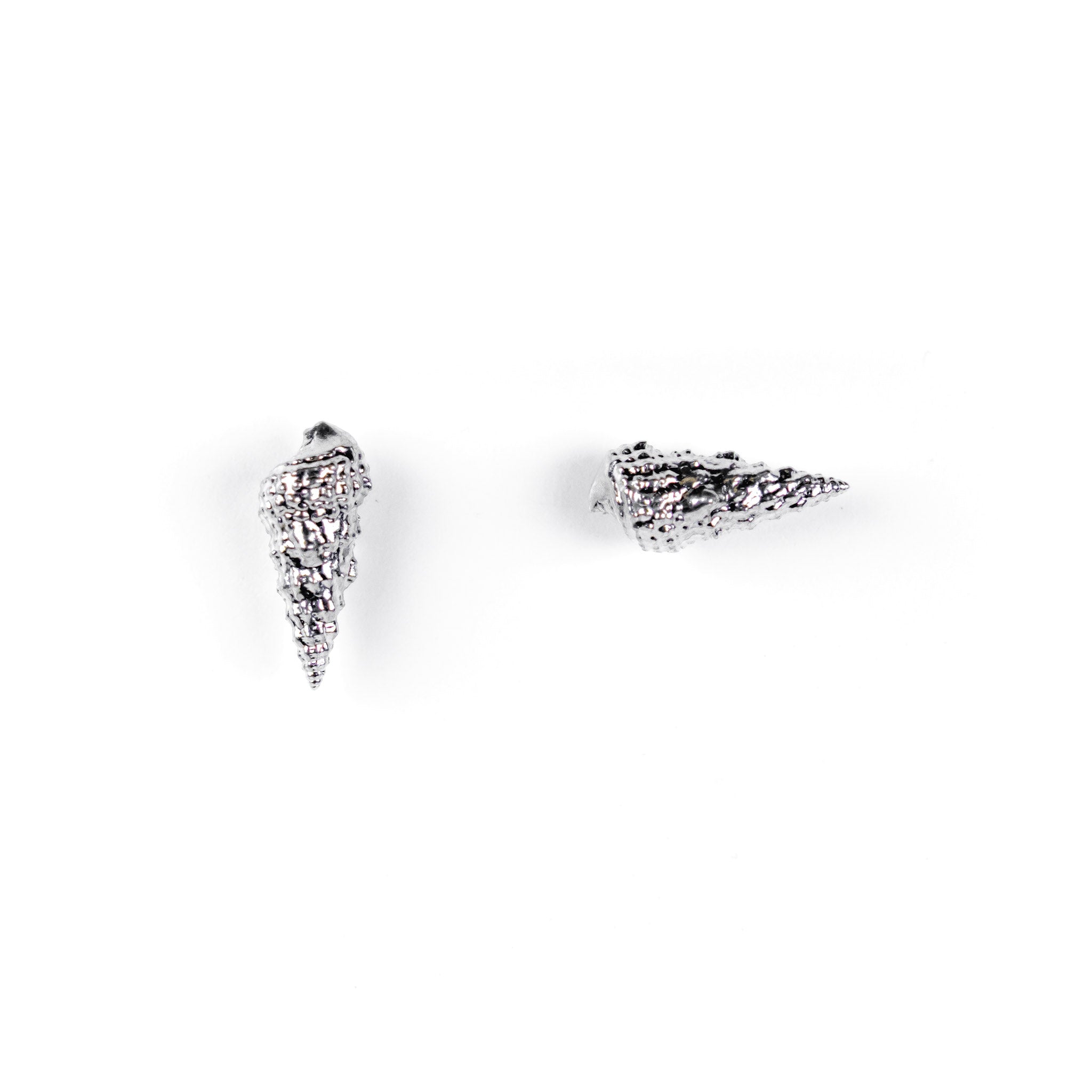 Cerith Shell Studs