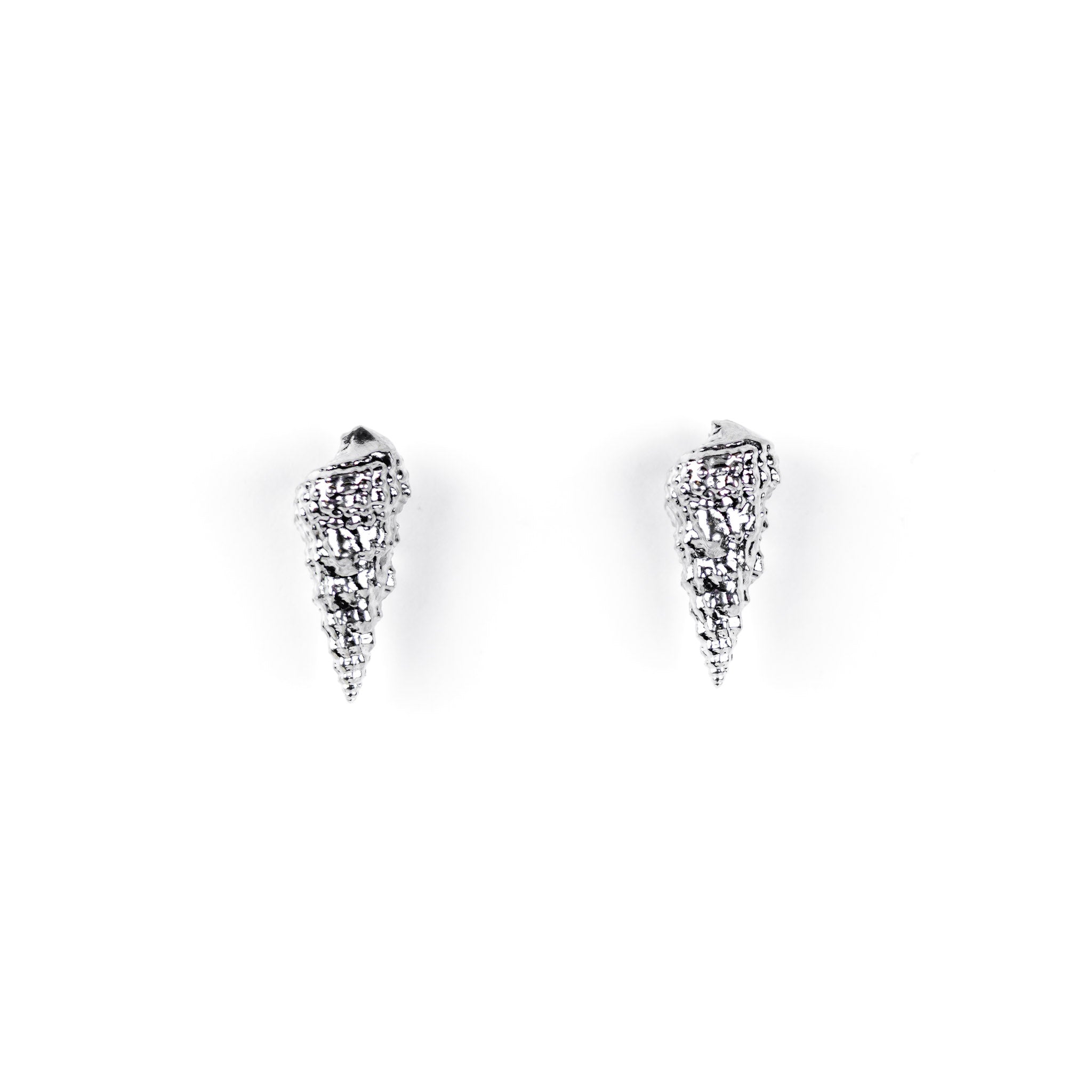 Cerith Shell Studs