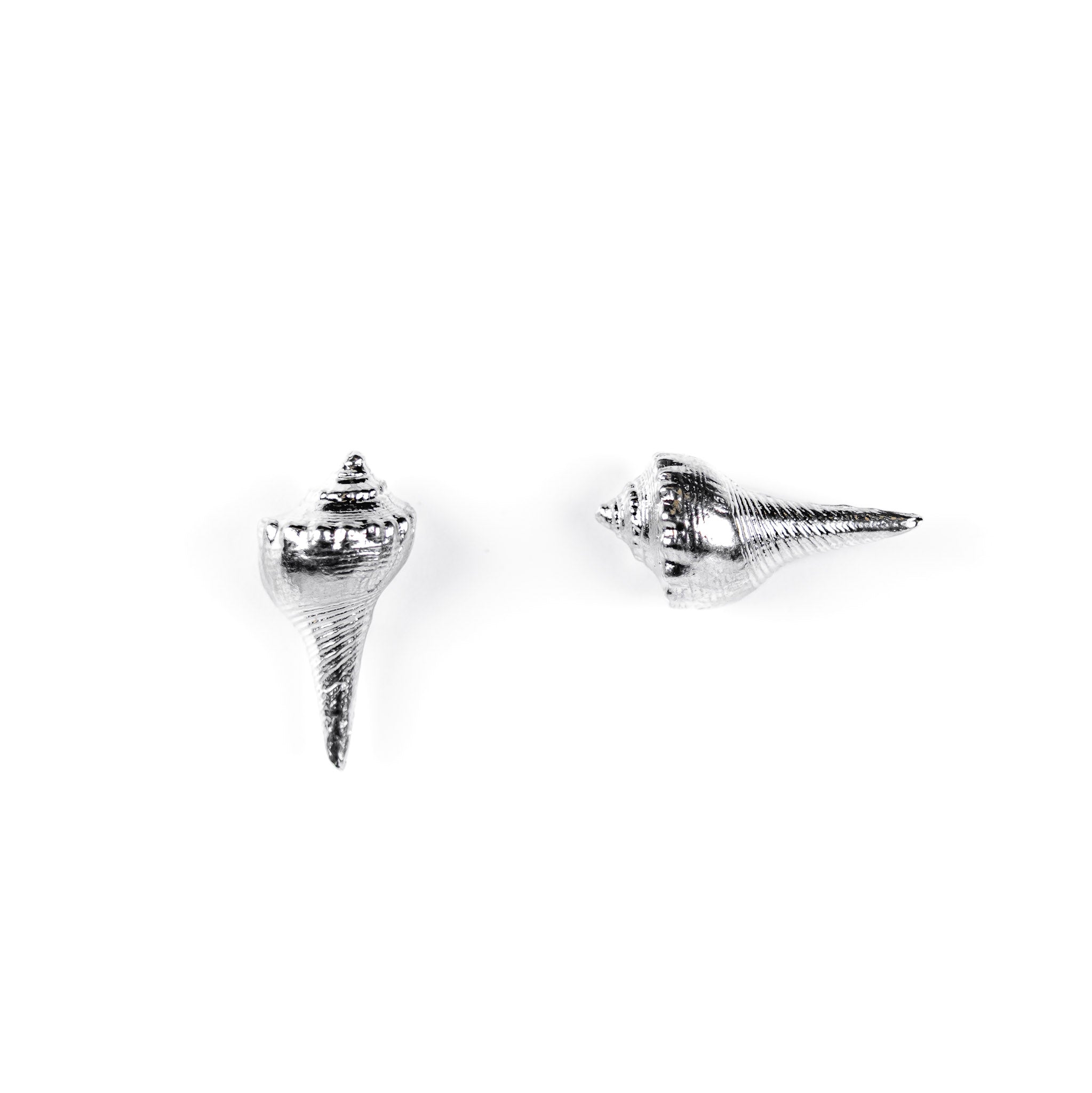 Whelk Shell Studs