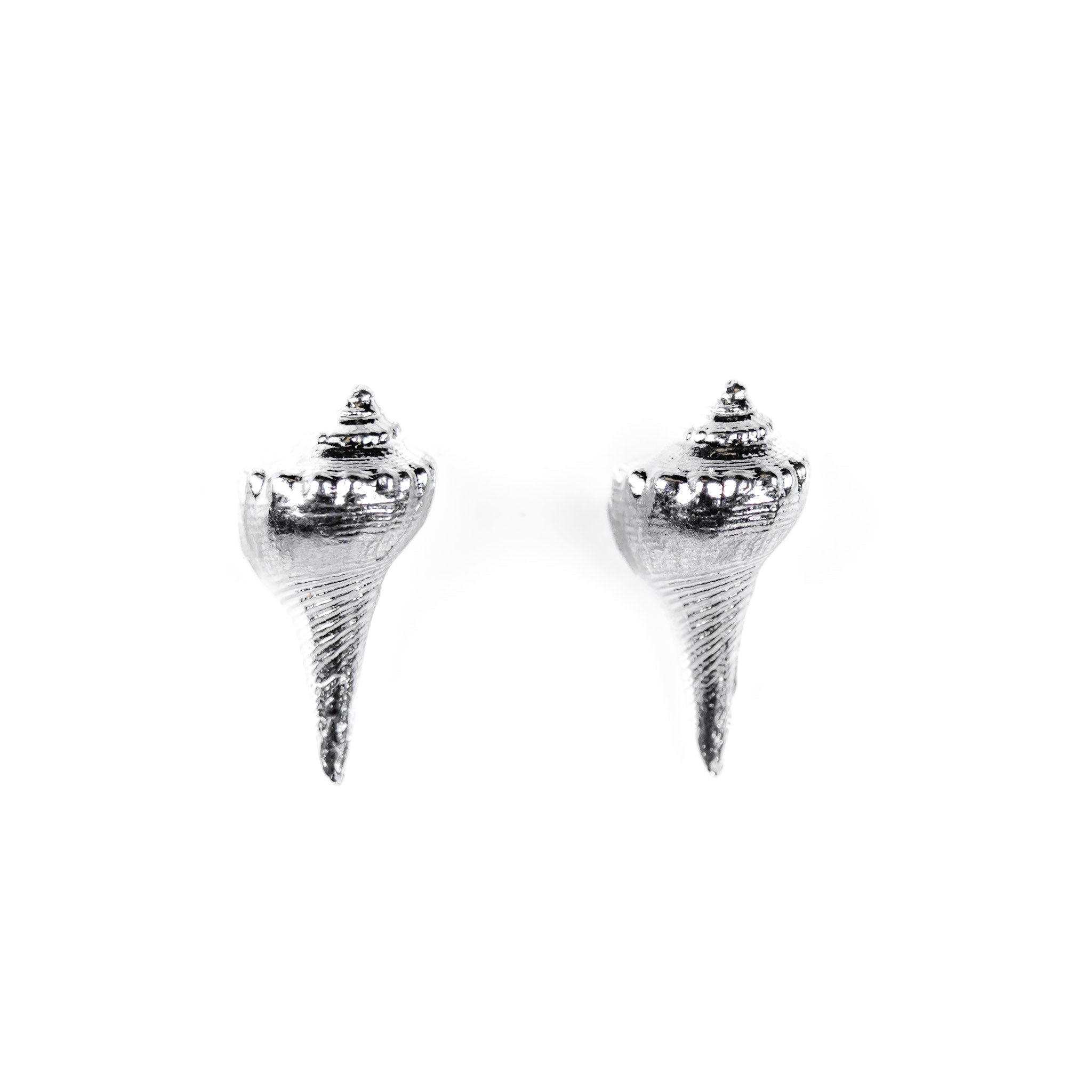 Whelk Shell Studs