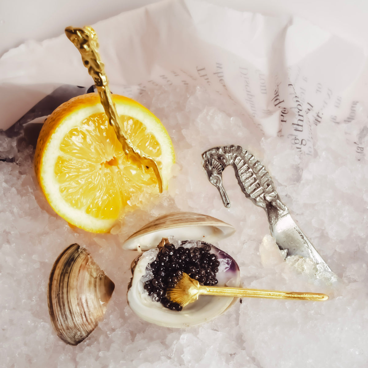 Sea Spreader Set Silver