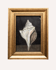 Conche - Print