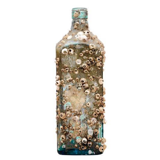Barnacle Bottle