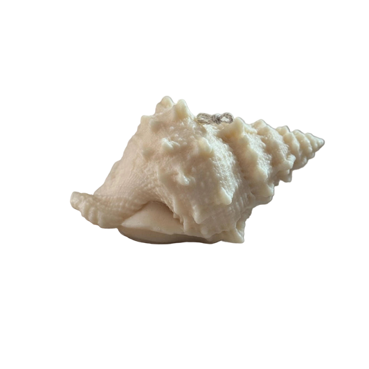 Shell Sculptural Candle