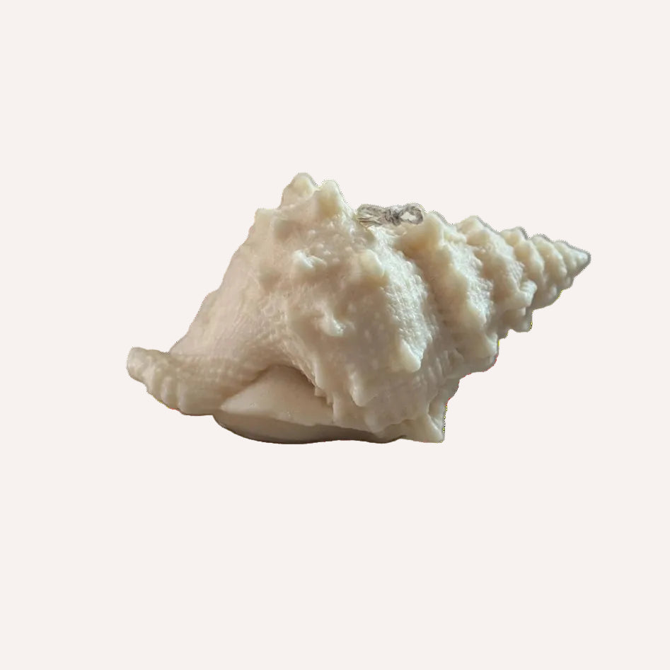 Shell Sculptural Candle