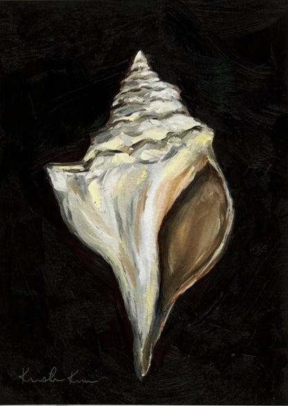 Conche - Print
