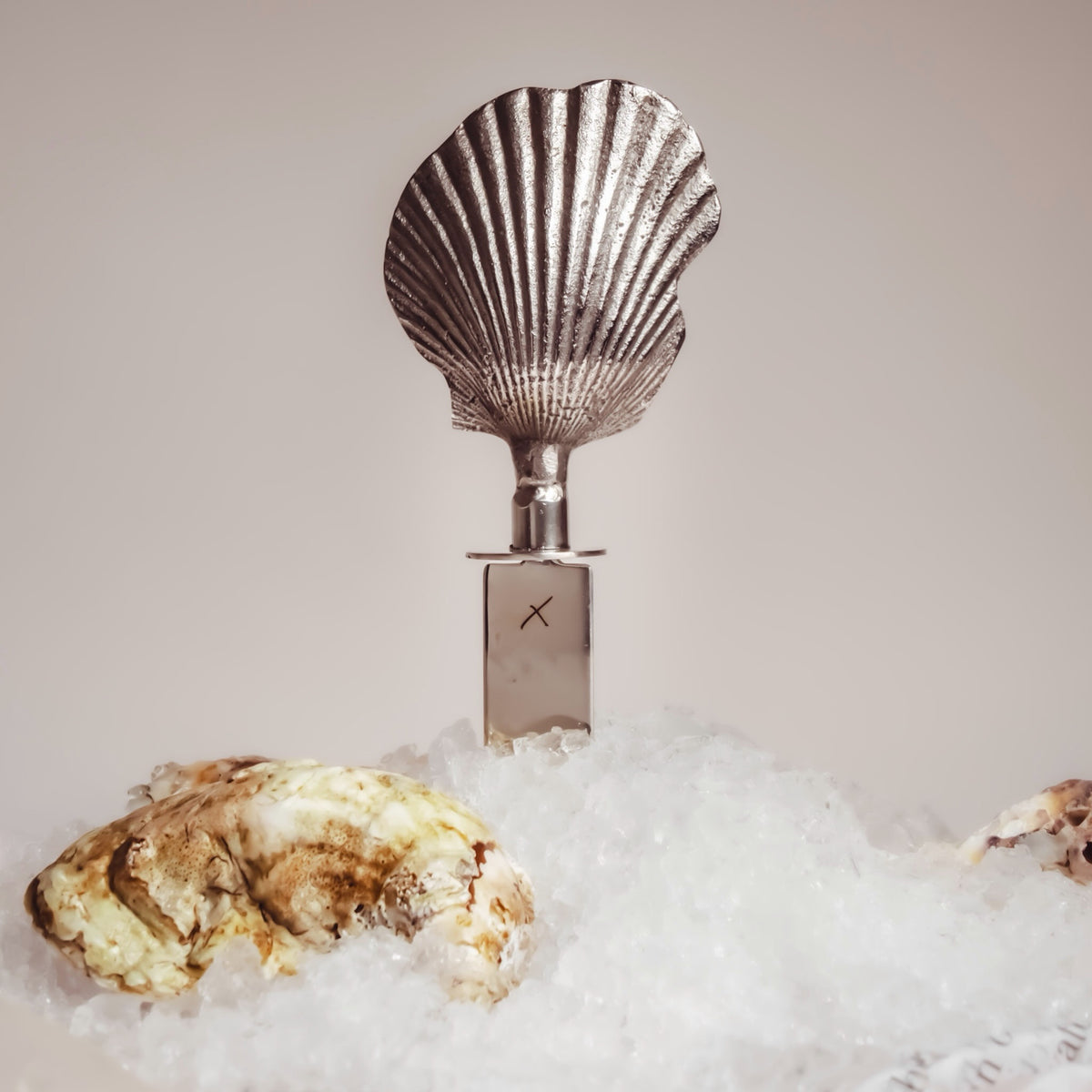 Shell Oyster Knife